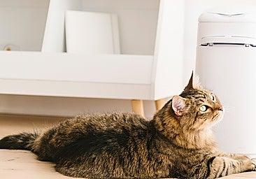 Adiós a los olores del arenero de tu gato con este cubo que lo sella todo