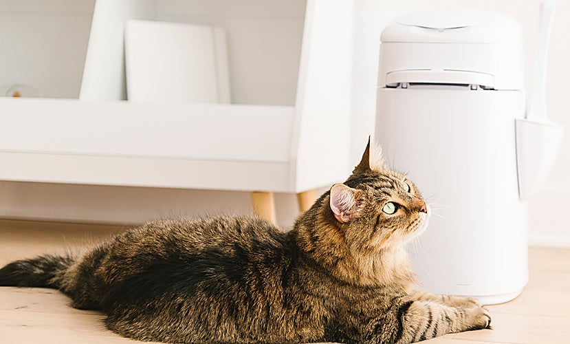 Adiós a los olores del arenero de tu gato con este cubo que lo sella todo