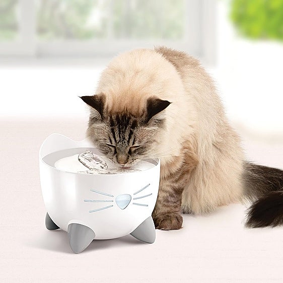 Más agua y menos bacterias: la fuente Catit Pixi de acero inoxidable conquistará hasta a los gatos más exigentes