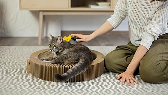 FURminator, el cepillo que da brillo a tu gato y disminuye los pelitos por el hogar