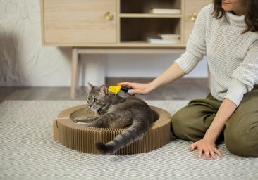 FURminator, el cepillo que da brillo a tu gato y disminuye los pelitos por el hogar