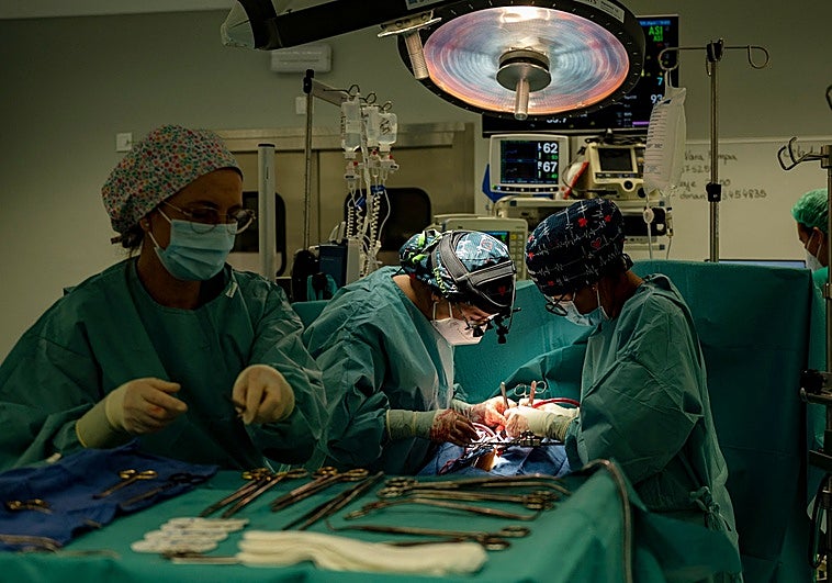 España, récord de donantes tras la eutanasia: un 14% ofrece sus órganos frente al 0,3% de otros países como Bélgica o Canadá