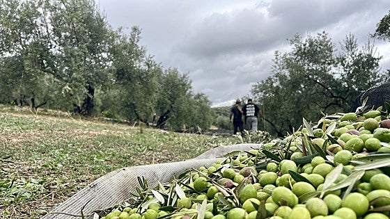 Los aranceles desploman las exportaciones a EE UU a su nivel más bajo en diez años