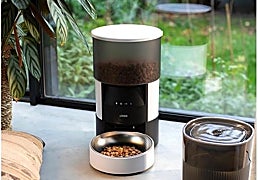 Los mejores comederos automáticos y dispensadores de pienso para tu mascota