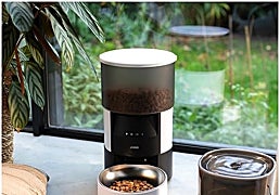 Los mejores comederos automáticos y dispensadores de pienso para tu mascota