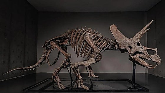 Subastan un dinosaurio de museo en perfecto estado por 5 millones de dólares