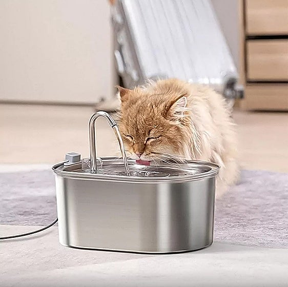 No te pierdas estas fuentes para que el agua de tu gato esté siempre en perfectas condiciones