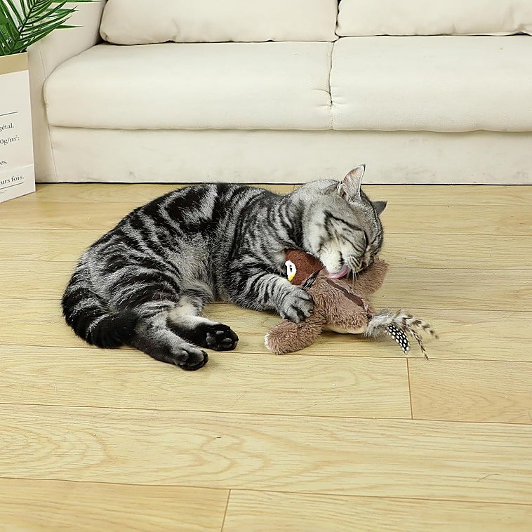 Acaba con el sedentarismo de tu gato con estos juguetes interactivos