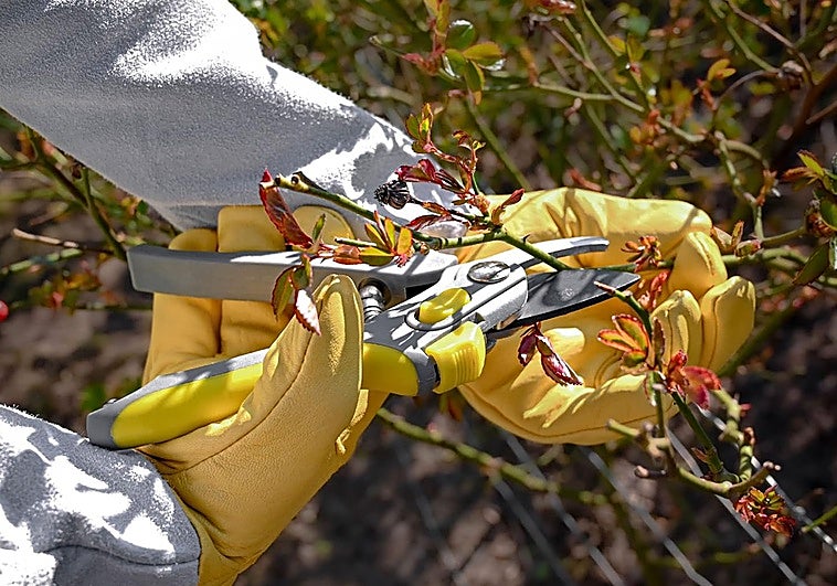 Protege tus manos en las tareas de jardinería con estos guantes de trabajo