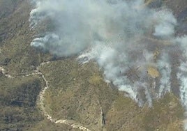 Imagen aérea del fuego este jueves en Losar de la Vera (Cáceres).