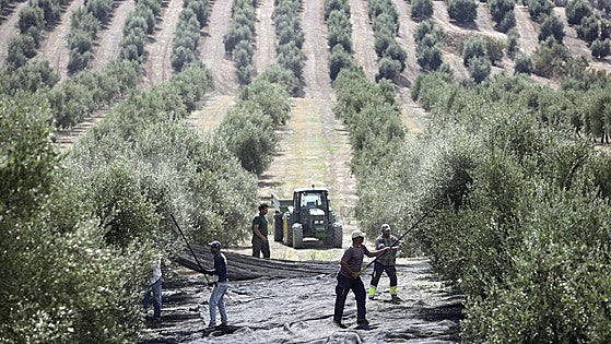 Las cifras del sector agroalimentario