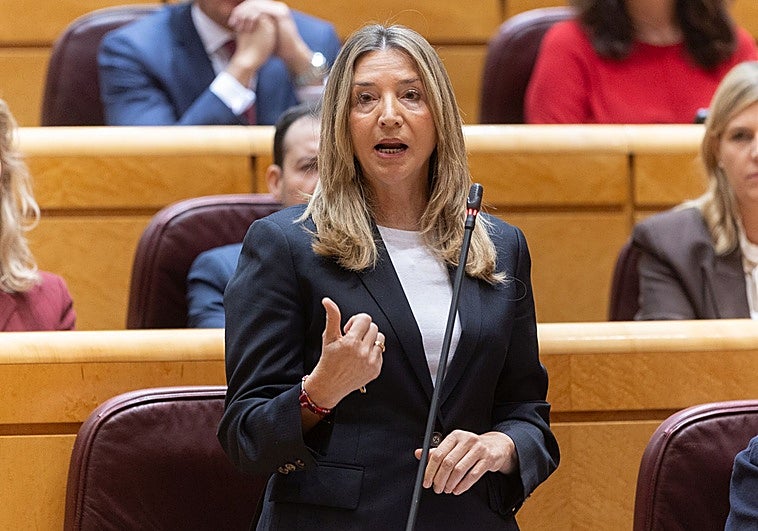 El PSOE niega al Senado las facturas de los gastos de Ábalos, Koldo y Cerdán