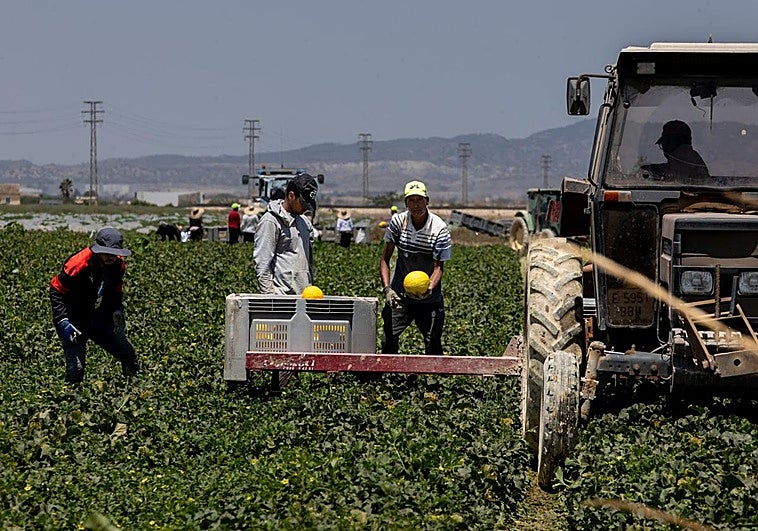 El Gobierno celebra el «aval» del Consejo de Estado a la regularización de medio millón de inmigrantes