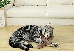 Acaba con el sedentarismo de tu gato con estos juguetes interactivos