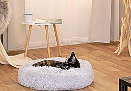 No te pierdas estas camas relajantes para mejorar el descanso de gatos y perros