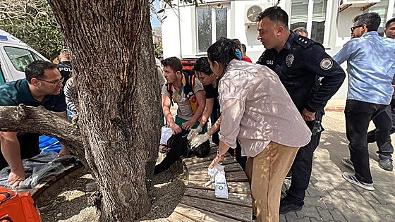 Al menos 9 muertos y 13 heridos en otro tiroteo en un colegio de Turquía