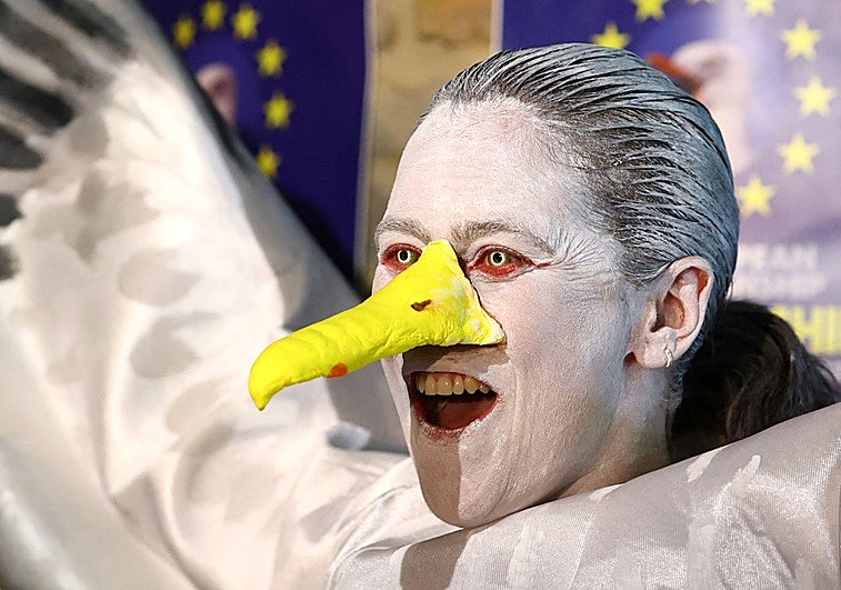 Desde Vigo a Bélgica para quedar subcampeona de Europa de imitación de gaviotas