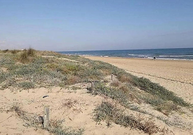 Cuatro personas mueren ahogadas, entre ellas dos menores, en una playa de Oliva