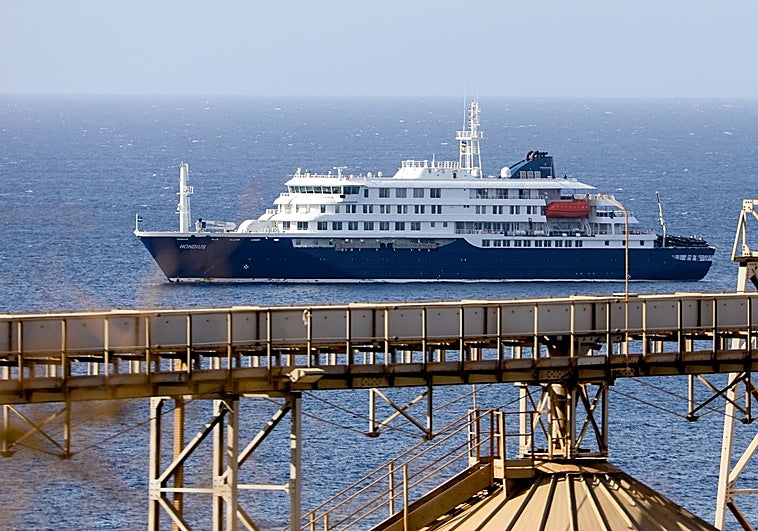 Una fiebre con «progresión rápida» a neumonía, la muerte de los infectados por hantavirus en el crucero