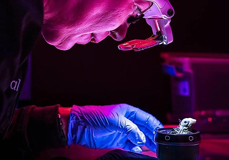 La empresa que «desextingue» especies dice haber creado un huevo artificial para revivir aves desaparecidas