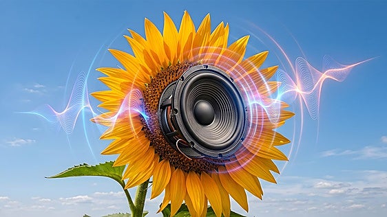 Manual para sobrevivir a un festival de música en verano