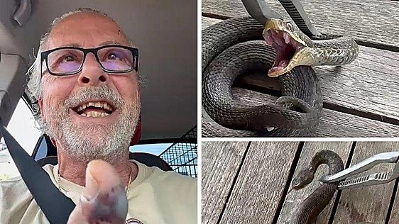 Un vecino de Villaviciosa acaba en la UCI por la picadura de una víbora: «A punto he estado de no contarlo»