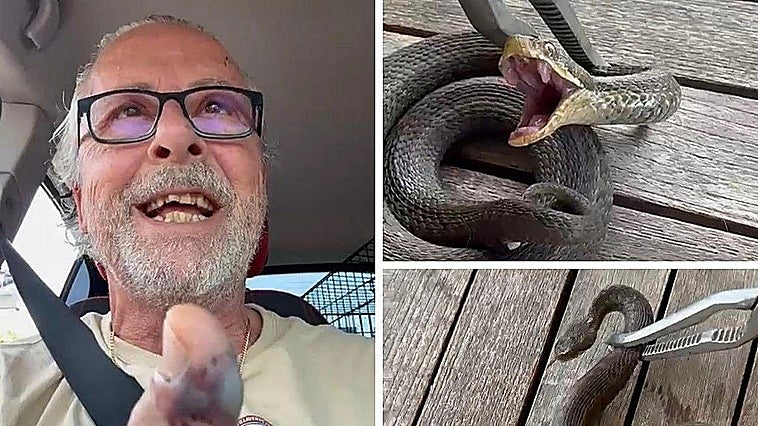 Un vecino de Villaviciosa acaba en la UCI por la picadura de una víbora: «A punto he estado de no contarlo»