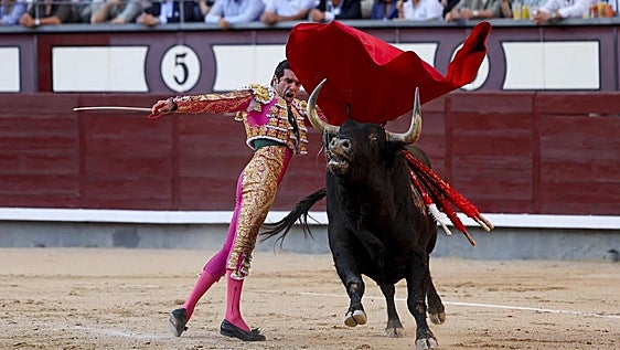 Un bravísimo toro de Jandilla