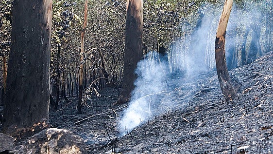 Continúa activo el incendio de A Coruña, que calcina 350 hectáreas