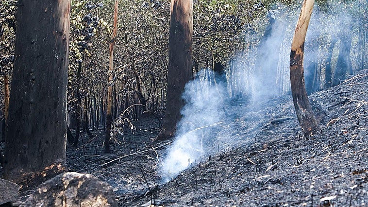 Continúa activo el incendio de A Coruña, que calcina 350 hectáreas