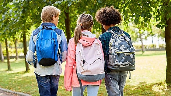 Condenan a una profesora de un colegio de Vizcaya por bajarle los pantalones a un alumno como castigo