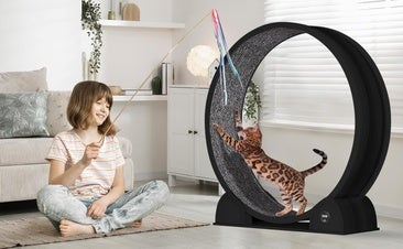 Las mejores ruedas de ejercicio para que tu gato se mantenga activo en casa