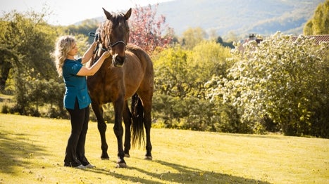 La veterinaria rural que viaja de pueblo en pueblo para cuidar a los animales