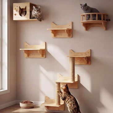 Los mejores estantes y baldas de pared para que tu gato haga ejercicio y vigile desde las alturas