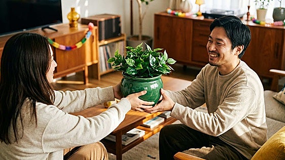 Las mejores macetas con plantas artificiales para regalar que parecen de verdad