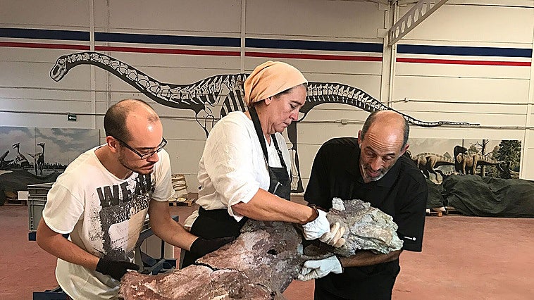 ¿Por qué no había dinosaurios en el Arca de Noé?