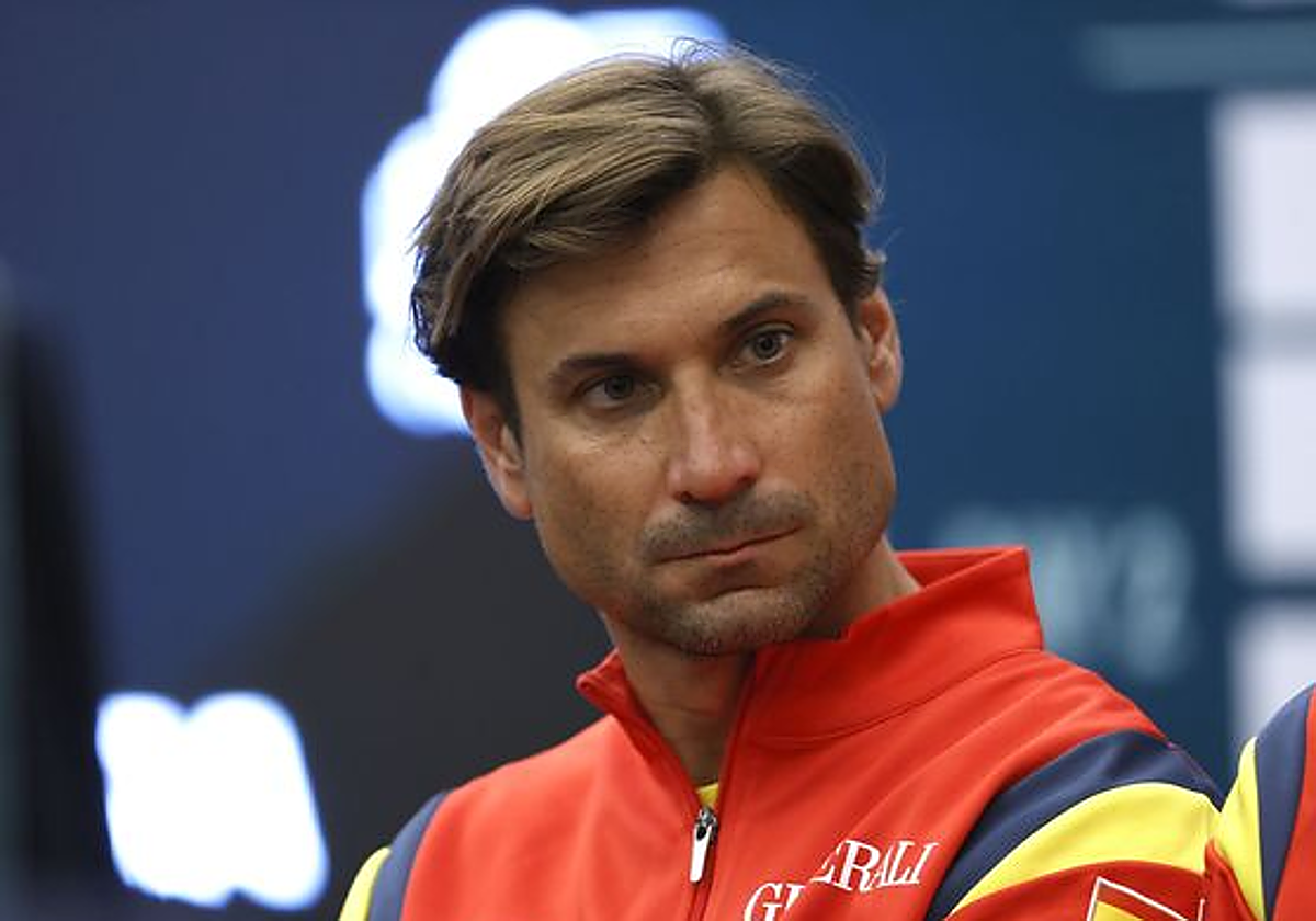 David Ferrer