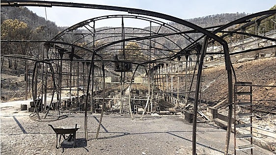 Los autónomos podrán acogerse a un cese de actividad extraordinario por los incendios