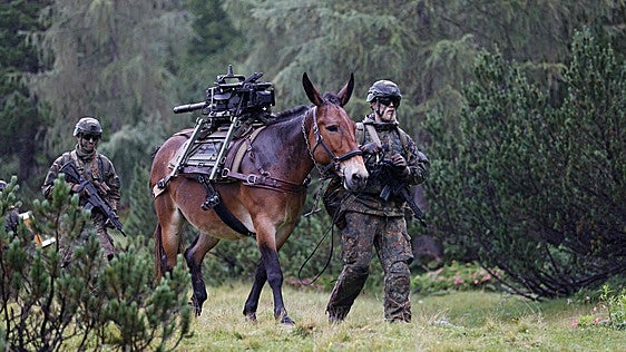 La OTAN se prepara para un giro prorruso en el este de Alemania por el auge de la AfD
