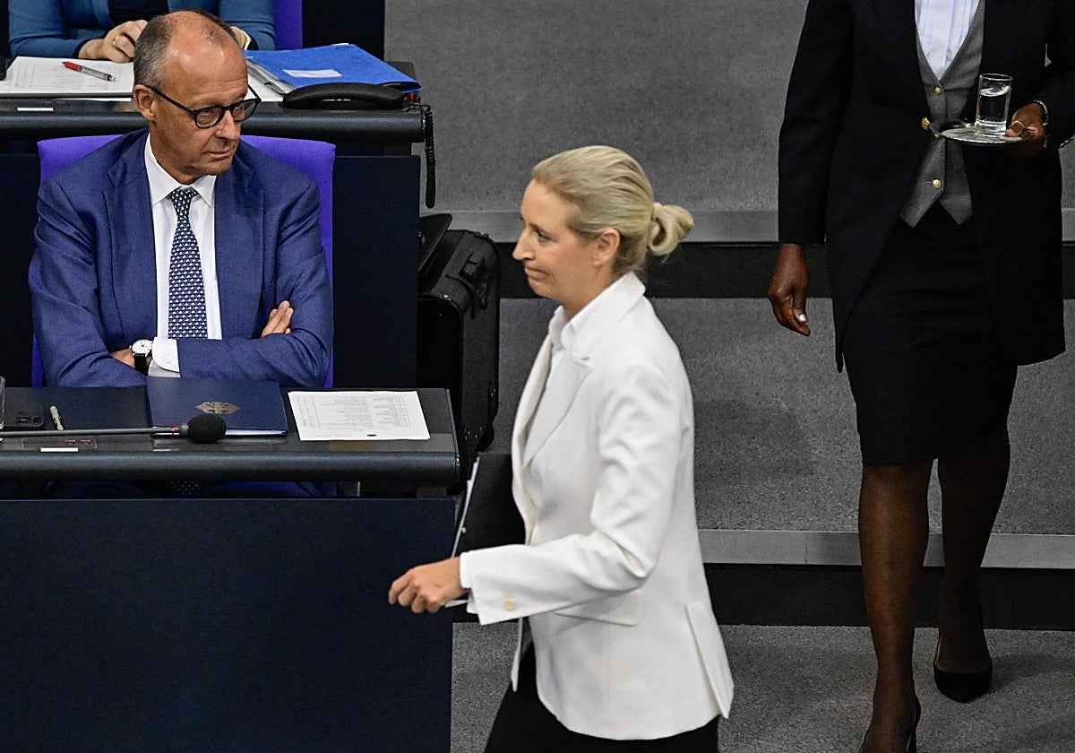 Merz: «La remigración es sinónimo de limpieza étnica»