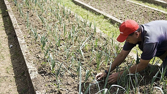 EE UU abre el crédito a Venezuela para impulsar la industria agrícola