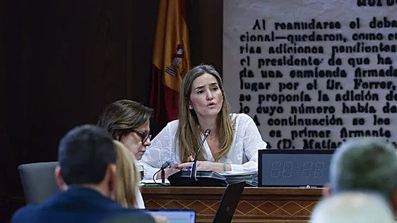 Aagesen niega en el Senado presiones de Moncloa o del PNV en los rescates de Plus Ultra, Air Europa o Tubos