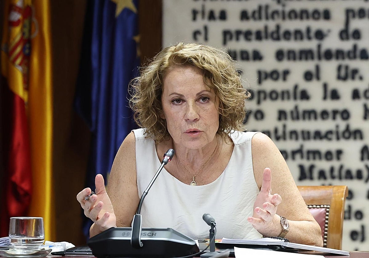 La exdirectora de la Agencia Tributaria se escuda en la confidencialidad para no dar información sobre los rescates
