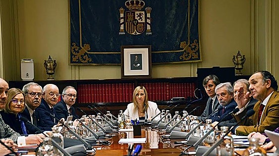 La presidenta del Supremo se reunirá a «la mayor brevedad posible» con Vivas por la crisis migratoria