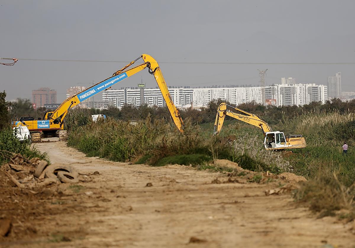 La justicia eleva a 232 las víctimas mortales de la dana de Valencia tras reconocer un nuevo fallecimiento