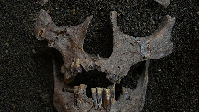¿Fueron dos cazadores de hace 25.000 años los primeros drogadictos de la historia?