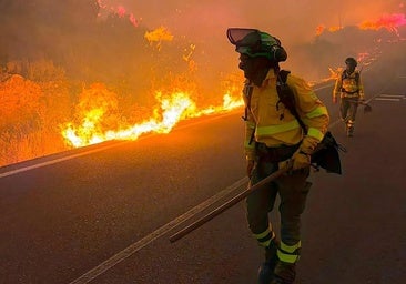 Doce personas fallecidas, tres niños entre ellos, en el incendio en Almería