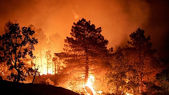El incendio forestal de Almería ya es el tercero con más muertos en la historia de España