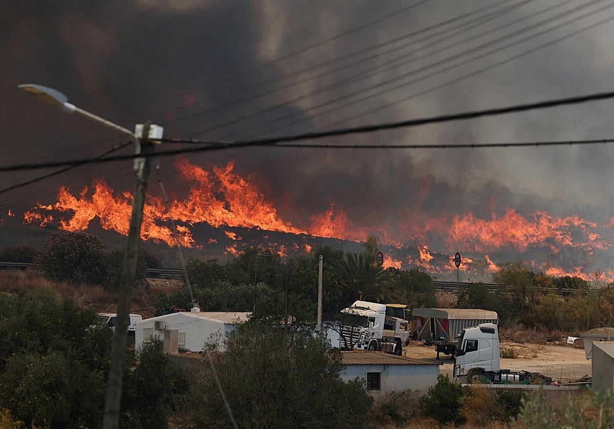 El humo y las llamas se elevan en el mortífero incendio de Los Gallardos (Almería).