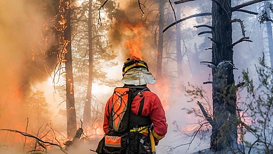 El Gobierno declara la emergencia de interés nacional por los incendios de Madrid y Ávila
